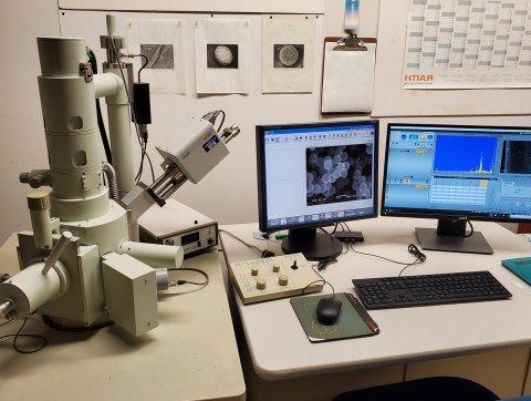 Scanning Electron Microscope